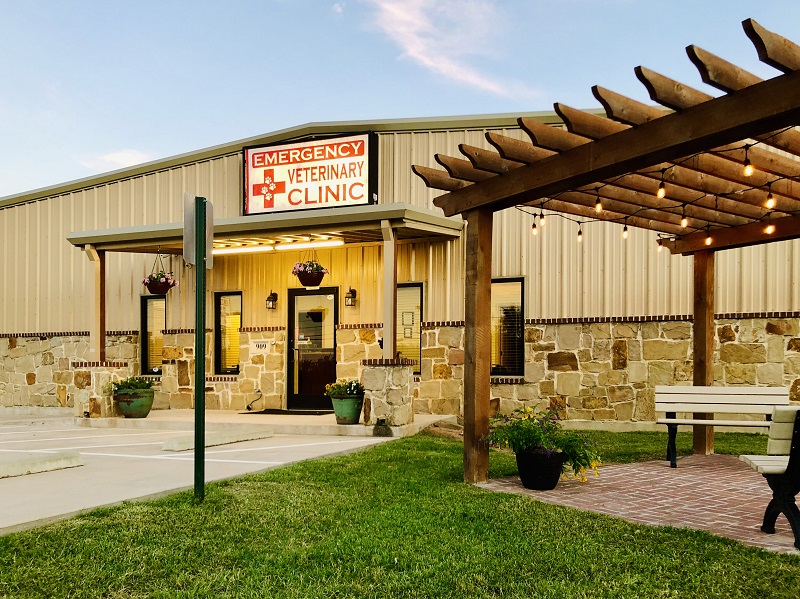 Emergency 24 Hour Vet Clinic Near Me Photos All